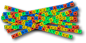 Sequences